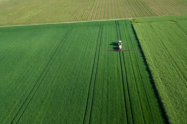 istock Tractor on a wheat field in spring - aerial view 1224215458