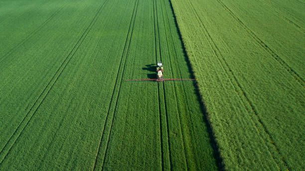 istock Tractor on a wheat field in spring - aerial view 1224215609