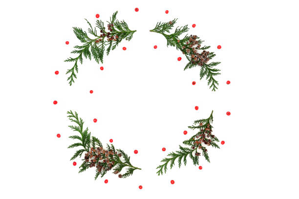 istock Cedar Cypress & Red Holly Berry Wreath 1224215876