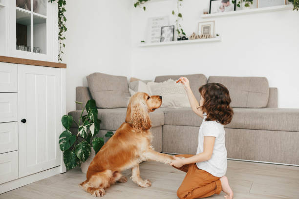 Cute little girl with dog at home stock photo