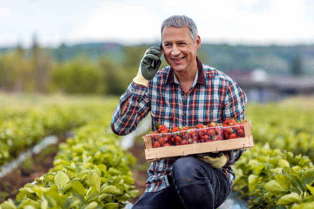 istock Mature farmer talking on smart phone 1224223379