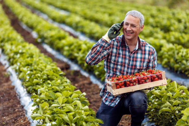 istock Day to day farming duties gone digital 1224223380