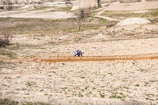 An old female farmer planning the seeds in the town of Goreme, Cappadocia, a historical region of Turkey
