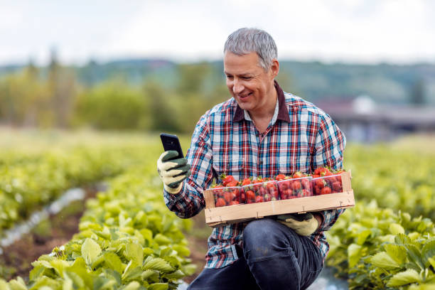 istock Digitizing the day to day farming activities 1224224429