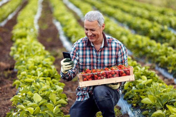istock Great tech to grow a farming business with 1224224467