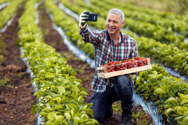 modern tools for a modern farmer - blueberry fruit berry berry fruit imagens e fotografias de stock