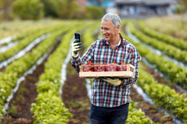 istock There’s an app for everything, even farming 1224224491