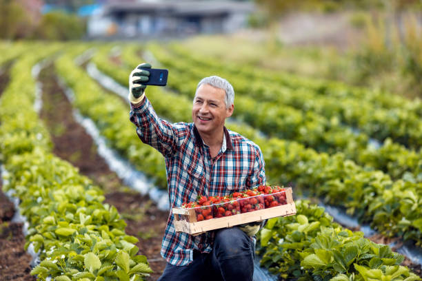 istock All about that farm life 1224224501