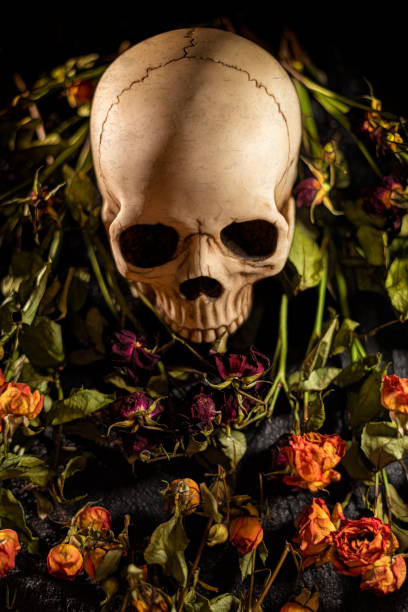 istock Human skull with surgical mask 1224224642