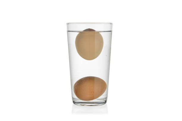 1,600+ Rotten Eggs Stock Photos, Pictures & Royalty-Free Images - iStock