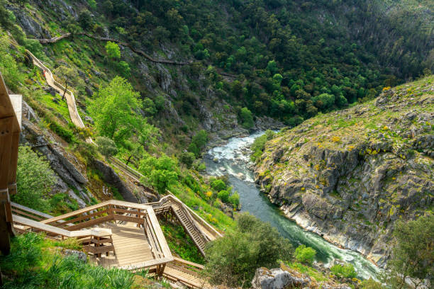 Beautiful landscape of the Paiva river and the Paiva walkways, in Portugal. stock photo