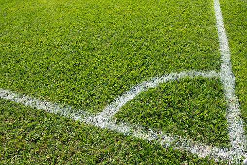Demarcated lines of a football field