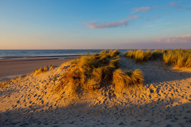 istock View to the beach in Knokke, Belgium 1224227624