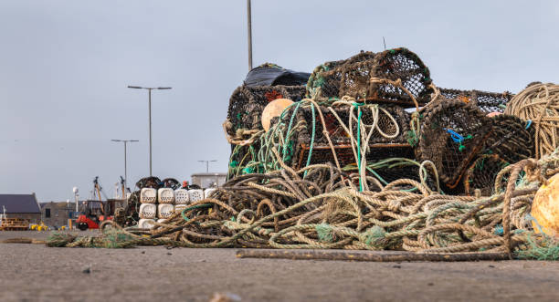 istock Fishing locker at Howth harbor near Dublin, Ireland 1224229766