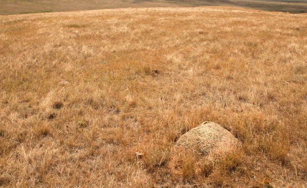 istock Rocks of the Prairie Grasslands 1224229947