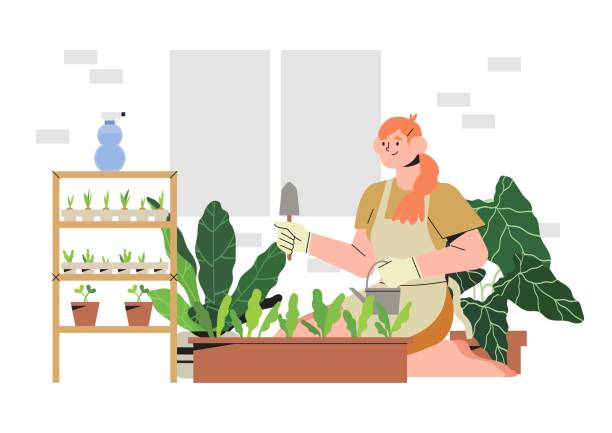 illustrations, cliparts, dessins animés et icônes de femme sur un balcon ou un patio cultivant des plantes ou des légumes dans un pot de fleurs, plantant et arrosant des graines. concept de jardinage urbain à la maison ou d’agriculture végitable d’intérieur. ensemencement dans un contenant en papier. - vertical garden