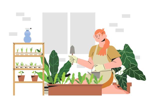 ilustrações de stock, clip art, desenhos animados e ícones de woman on a balcony or patio growing plants or vegetables in a flowerpot, planting and watering seeds. concept of urban home gardening or indoor vegitables farming. seedling in a paper containers. - vegitables