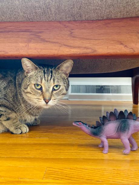 istock Cat Playing With Purple Toy Dinosaur 1224231227