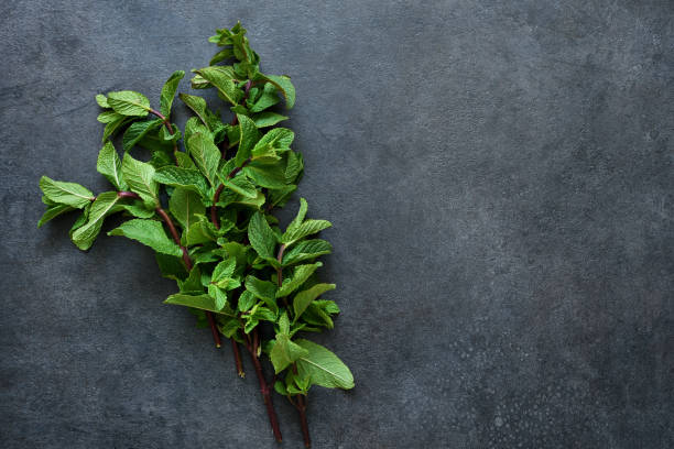 istock Green, fresh mint on a black concrete background. View from above. 1224235794