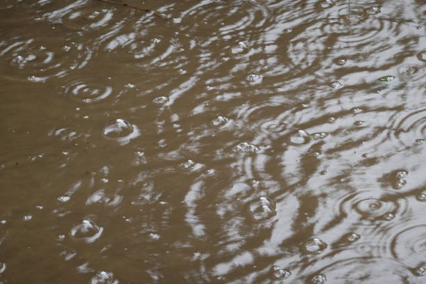 Puddle with drop of rain