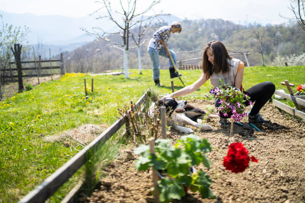 Happy family having fun gardening in the back yard