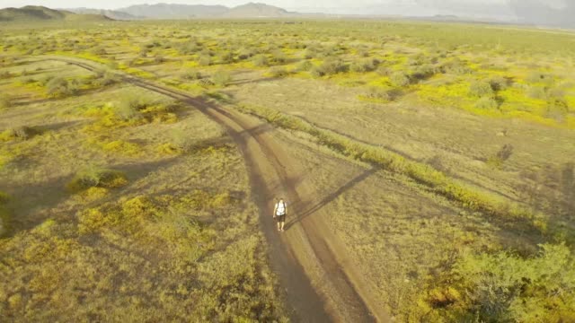 Aerial footage circling a man hiking through the Sonoran Desert of Arizona alone