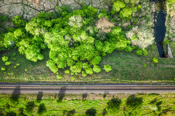 istock Green forest and river in Poland, aerial view 1224238374