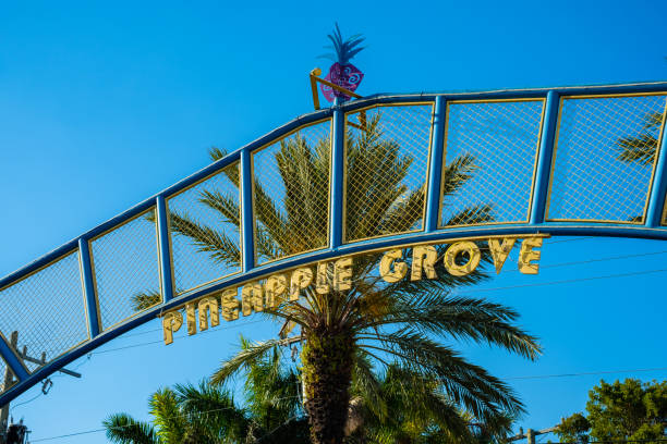 Pineapple Grove Delray Beach Delray Beach, Florida USA - March 14, 2018: Entrance sign to this small beach village and arts district in Palm Beach County. delray beach fl stock pictures, royalty-free photos & images
