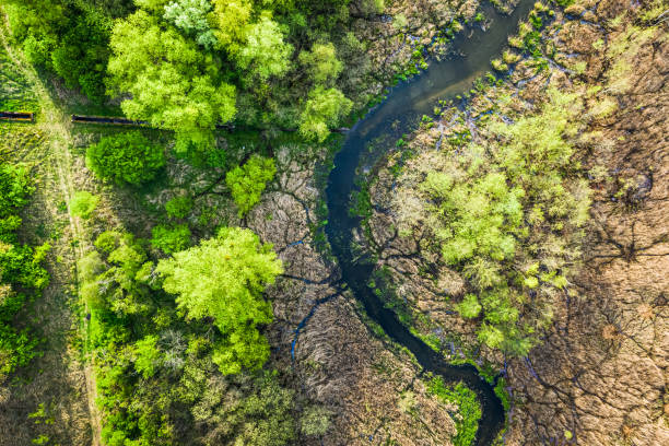 istock Green forest and river in spring, aerial view 1224240068