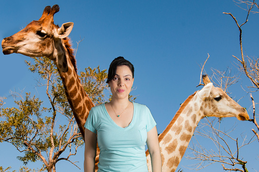 portrait of woman  with virtual background giraffes in the savanna