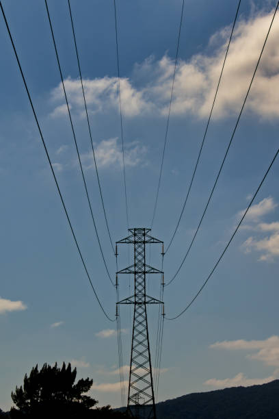 istock high voltage cables converging to a power tower next to a small tree, under a blue sky with white clouds. 1224241388