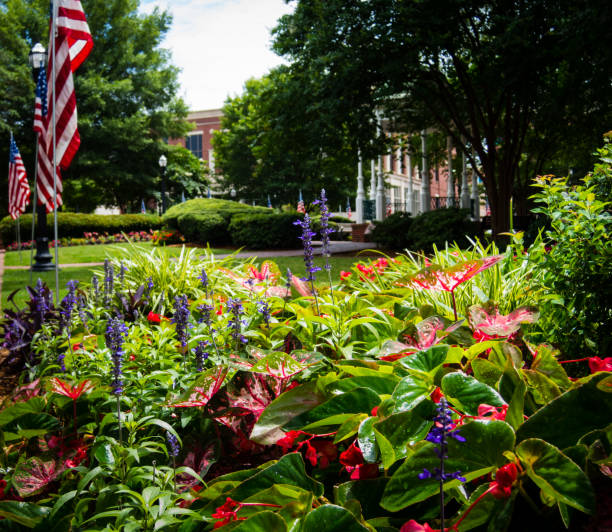 Flower bed and pavillon at Marietta Square in Georgia decorated for Independence Day Flower bed and pavillon at Marietta Square in Georgia decorated for Independence Day. American Flag waving over lush green plants. Small town square, patriotic scenery. No people visible. georgia country photos stock pictures, royalty-free photos & images