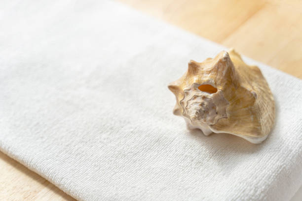 istock Huge natural seashell on a white towel on a wooden background 1224245266