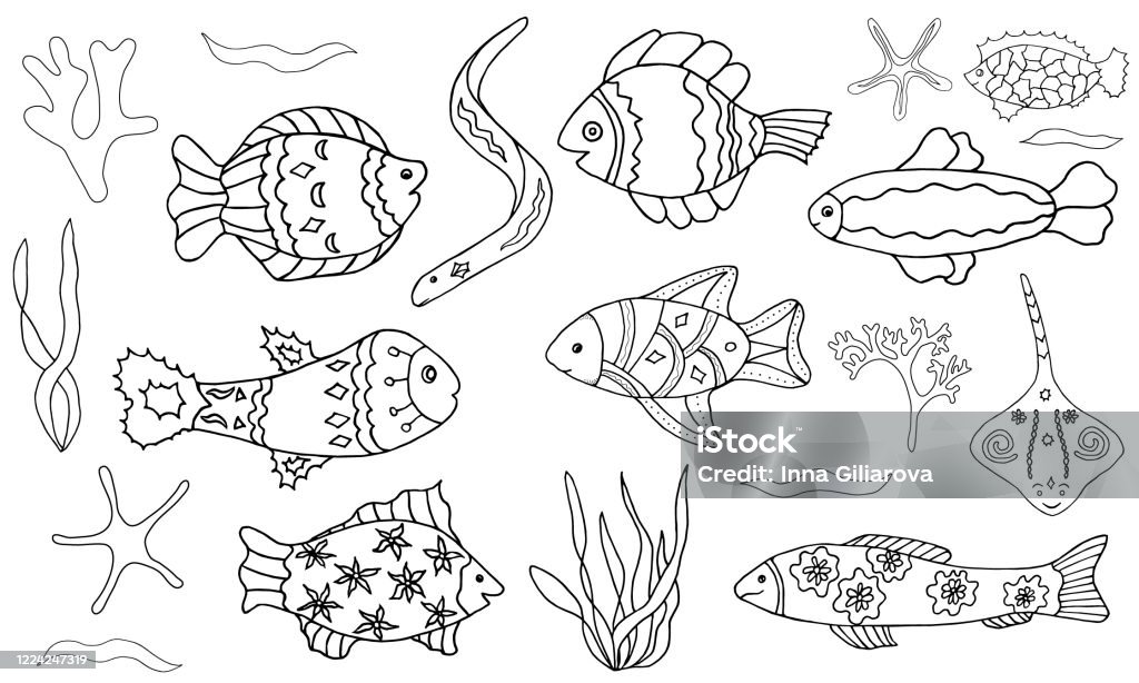 Simple Fish Contour Handdrawn Contour Vector Fish Set Stock Illustration - Download Image ...