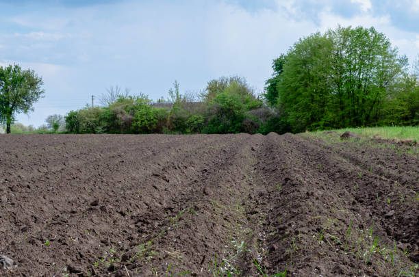 istock plowed field for planting 1224248536
