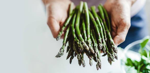 Clean eating or vegetarian concept. Young man holding fresh bundle of asparagus in the kitchen. Closeup. Banner.