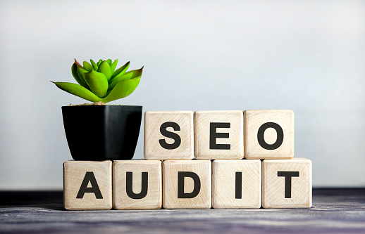 Seo audit link - concept on a Wooden background, cubes and flower in a pot.