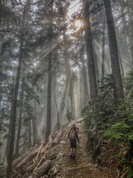 istock Scenic hiking in Vancouver, Canada 1224255302