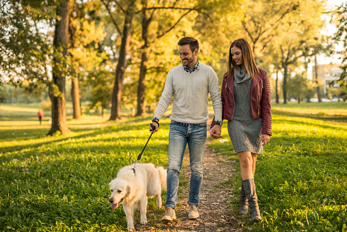 Couple holding hands while walking a dog in the park.