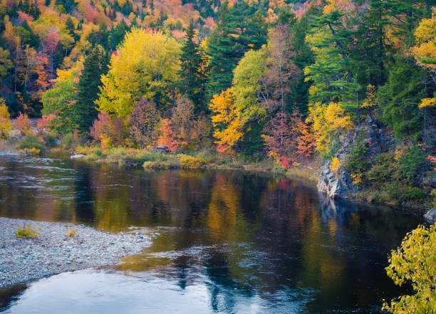 istock Colourful foliage and lake in Cape Breton 1224257244