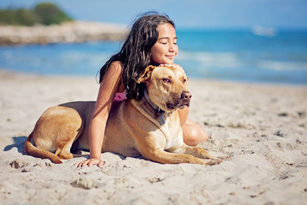 Little girl is playing with her dog on the beach