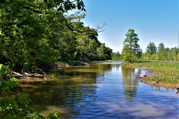 istock Landscape scenery of swamp, shallow lake, calm waters 1224258710