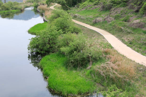 istock scene along the river with a small road 1224266320