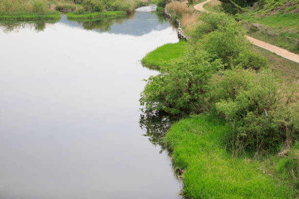 istock scene along the river with a small road 1224266322