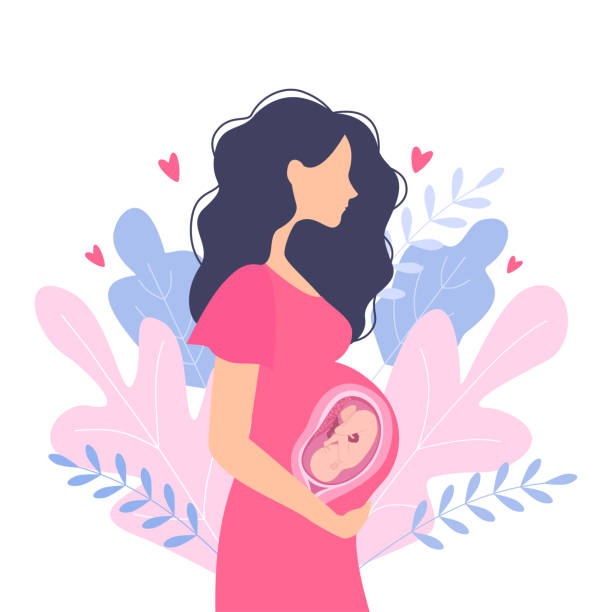 Happy pregnant woman holds her belly. Happy pregnant woman holds her belly. Decorated beautiful leaves. Decorated beautiful leaves.Vector illustration. Ovulation stock illustrations