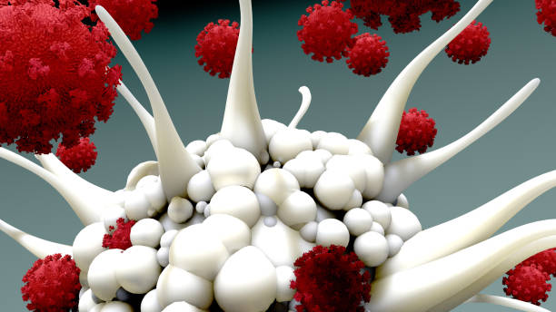istock Dendritic cells protecting the host from viral infection 1224267252