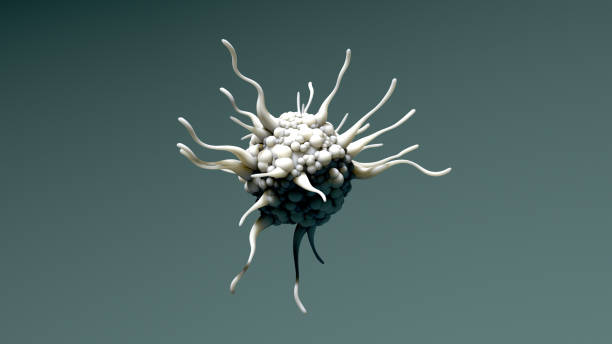 cellula dendritica, cellula del sistema immunitario, in movimento 4k - dendrite foto e immagini stock