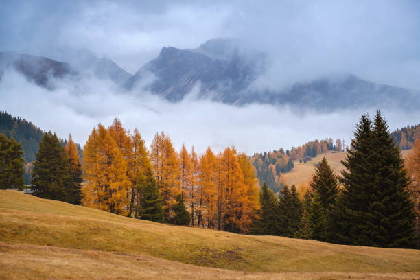 istock Autumn landscape at Seiser Alm 1224268866