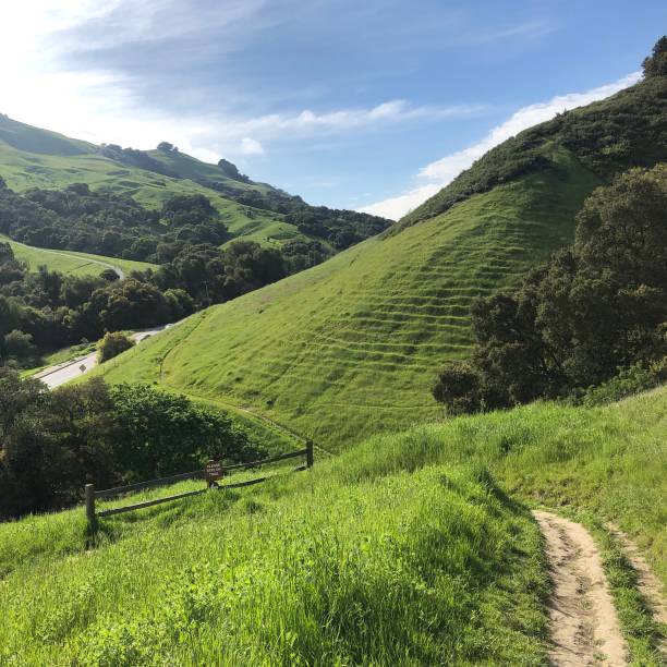 istock Green hills and trails 1224275685