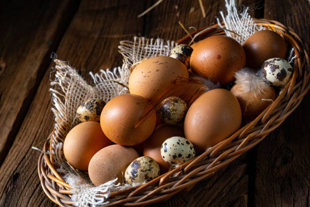 istock Fresh eggs straight from the farm in a basket 1224281009